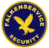 Falken-Security_BE.png